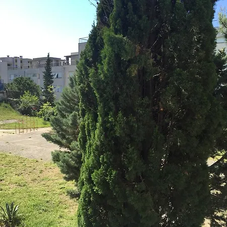 Lejlighed Charm Of Split